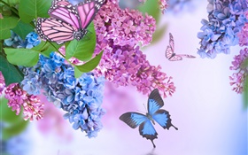 紫色的花，丁香花，蝴蝶 高清桌布