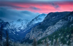 落基山國家公園，科羅拉多州，美國，山，樹 高清桌布