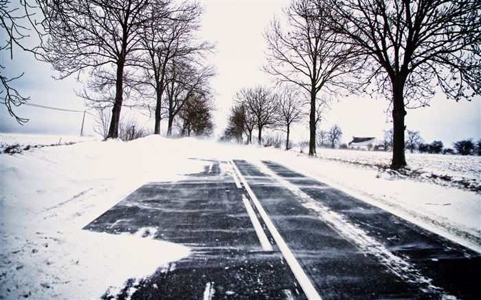 雪，冬季，道路，樹木，電線，房子 桌布 圖片