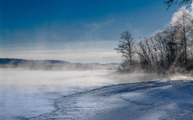 蒸氣，霧，湖泊，樹木，高山，冬天，雪