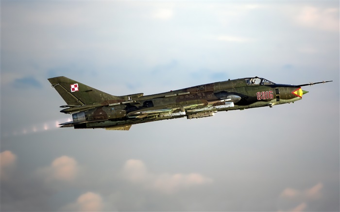 蘇22戰鬥機，轟炸機，在天空中飛翔 桌布 圖片