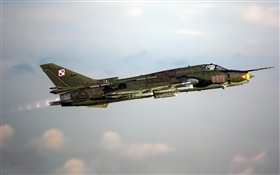 蘇22戰鬥機，轟炸機，在天空中飛翔 高清桌布