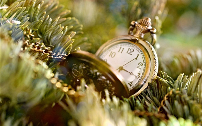 時間的錶盤，手錶，樹葉，樹枝 桌布 圖片