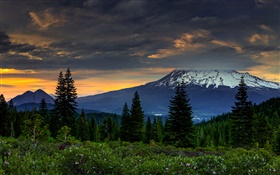 美國，加利福尼亞州，山，樹，雲，黃昏 高清桌布