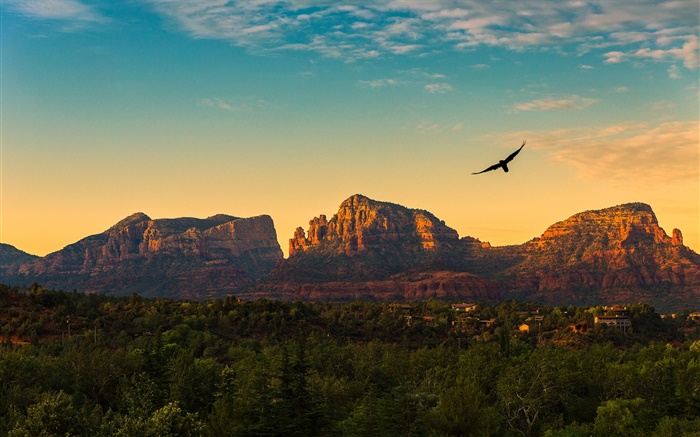 美國亞利桑那州，群山，日落，飛鳥，村，黃昏 桌布 圖片