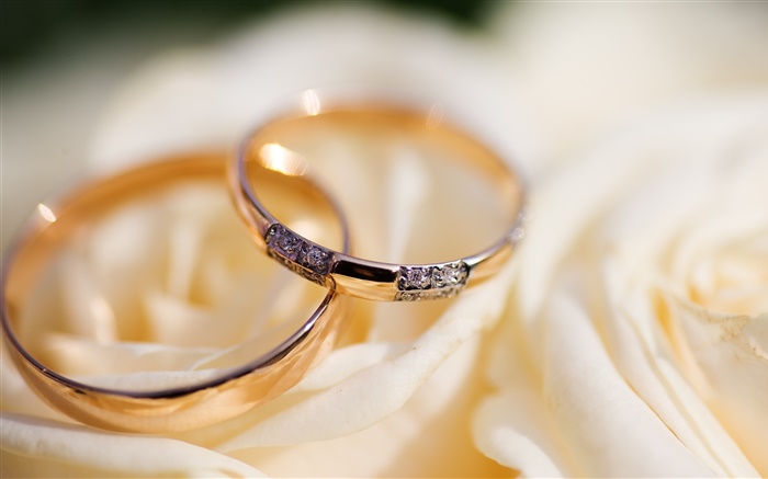 結婚戒指，玫瑰花瓣 桌布 圖片