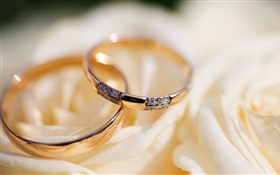結婚戒指，玫瑰花瓣 高清桌布