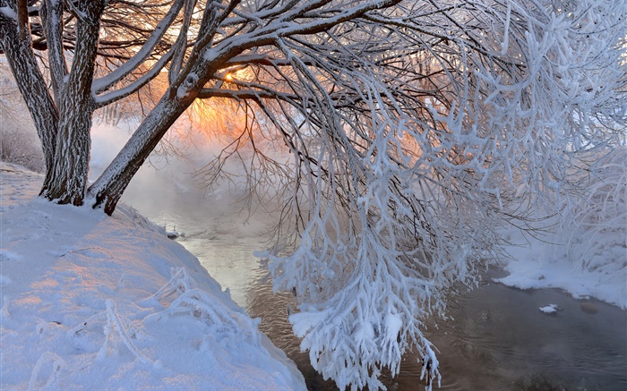 冬季，厚厚的積雪，樹，樹枝，河，日落 桌布 圖片