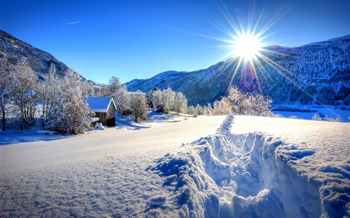 冬季，厚厚的積雪，樹木，房子，太陽 桌布 圖片