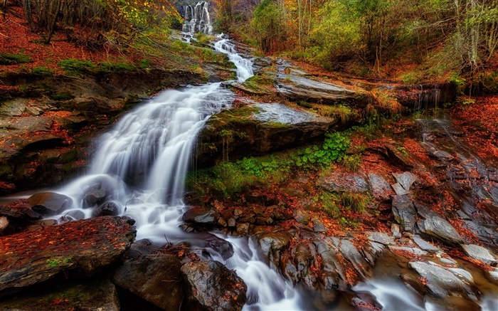 秋季，森林，河流，溪流，瀑布，葉子 桌布 圖片