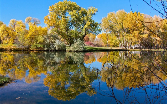 秋天，池塘，湖泊，公園，樹木，水中的倒影 桌布 圖片
