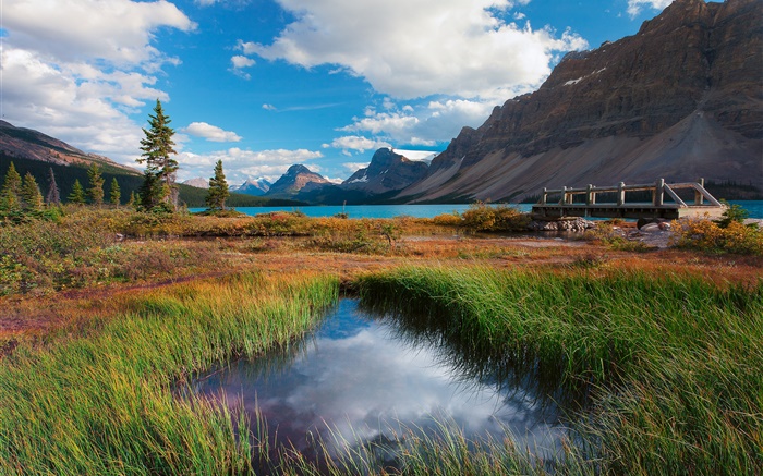 班夫國家公園，加拿大阿爾伯塔省，湖，山，草，雲 桌布 圖片