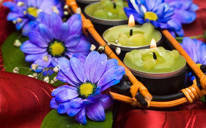 蠟燭，藍菊花，浪漫 桌布 圖片