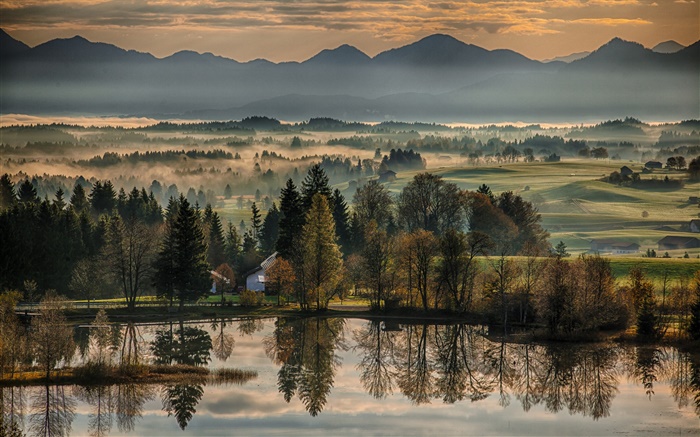 德國，拜仁，秋季，樹木，湖泊，房屋，霧，早晨 桌布 圖片