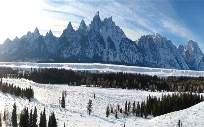 大提頓國家公園，懷俄明州，美國，冬天，山，厚厚的積雪 桌布 圖片