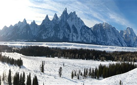 大提頓國家公園，懷俄明州，美國，冬天，山，厚厚的積雪 高清桌布