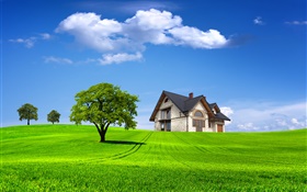 夏天，房子，樹木，田野，綠草如茵 高清桌布