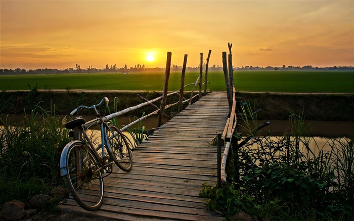 日落，自行車，橋，草，場，河 桌布 圖片