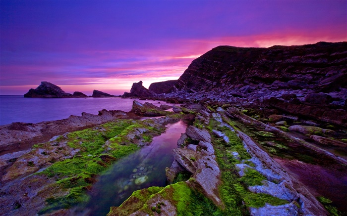 日落，海，海岸，石頭，苔蘚，紫色的天空 桌布 圖片