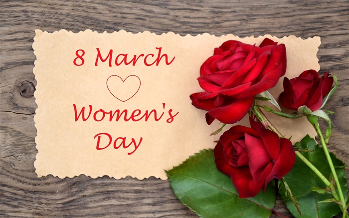 3月8日，婦女節，紅色的玫瑰鮮花 桌布 圖片