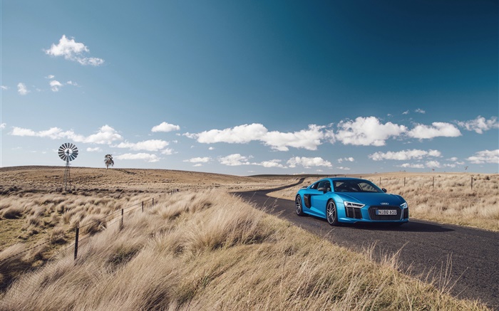 奧迪R8 V10藍車，自然，草，路 桌布 圖片