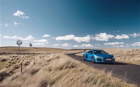 奧迪R8 V10藍車，自然，草，路 高清桌布