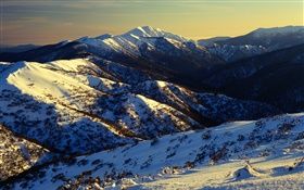 澳大利亞，山，雪，邊坡 高清桌布