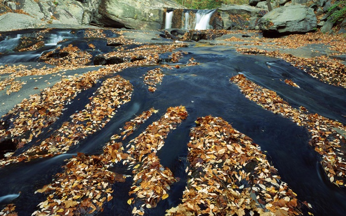 秋天，樹葉很多，瀑，溪，岩 桌布 圖片