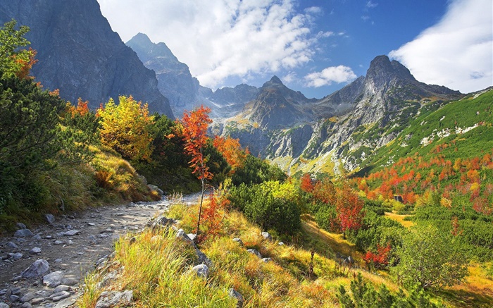 秋季自然，山，黃色的草，樹，雲 桌布 圖片