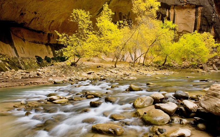 秋季，河，石頭，樹木，黃葉 桌布 圖片
