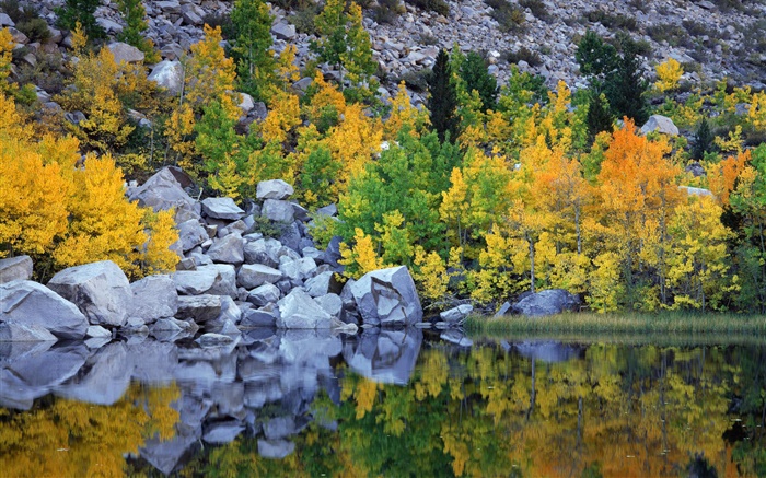 秋天，樹木，岩石，湖泊，水中的倒影 桌布 圖片
