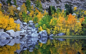 秋天，樹木，岩石，湖泊，水中的倒影 高清桌布