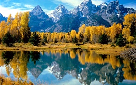 秋天，樹木，黃色，湖，山