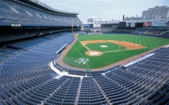 棒球場，體育館，紐約，美國 桌布 圖片