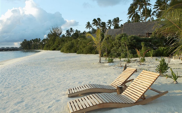 海灘，椅子，棕櫚樹，熱帶 桌布 圖片