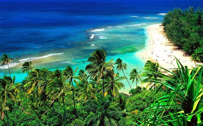 海灘，人，旅遊，蔚藍的大海，夏威夷，美國 桌布 圖片