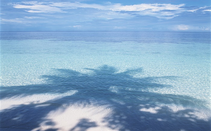 沙灘，海水，棕櫚樹的影子，馬爾代夫 桌布 圖片