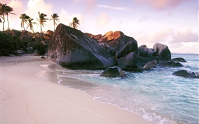 沙灘，海水，石頭，岩石，棕櫚樹 高清桌布