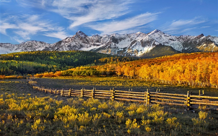 美麗的秋天景觀，山，森林，柵欄 桌布 圖片