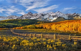 美麗的秋天景觀，山，森林，柵欄 高清桌布