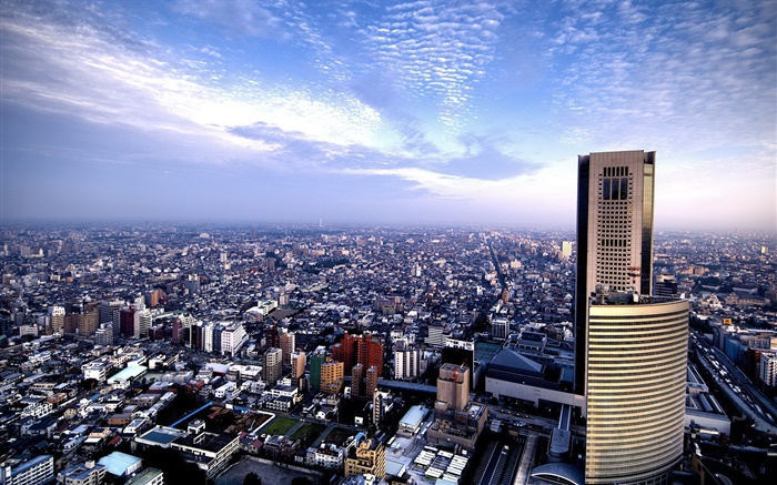 美麗的城市，頂視圖，摩天大樓，藍色的天空，雲 桌布 圖片