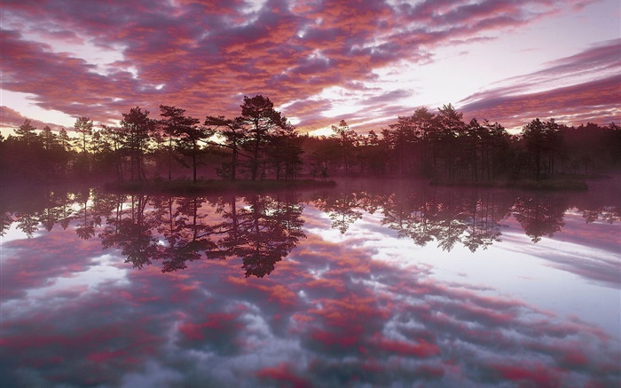 美麗的黃昏，樹木，湖泊，水中的倒影，紅雲 桌布 圖片