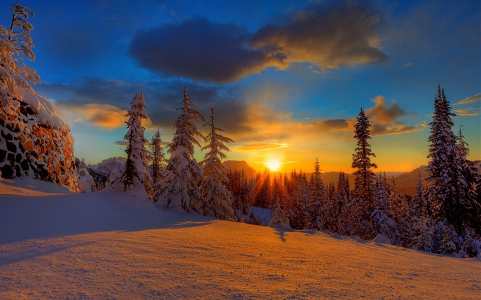 美麗的夕陽，冬天，雪，樹木，黃昏 桌布 圖片