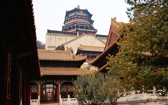 北京故宮，中國 桌布 圖片