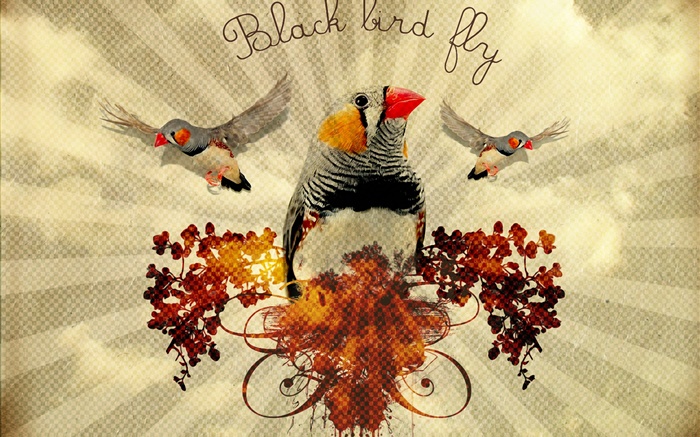 黑鳥飛，創意藝術設計 桌布 圖片