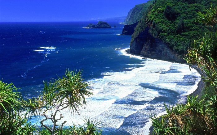 藍色的大海，海岸，山，夏威夷，美國 桌布 圖片