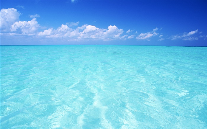 藍色的大海，天空，馬爾代夫 桌布 圖片