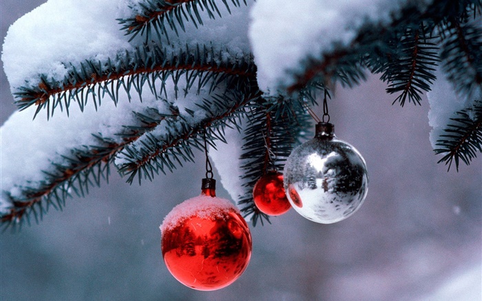 聖誕球，樹，樹枝，厚厚的積雪 桌布 圖片