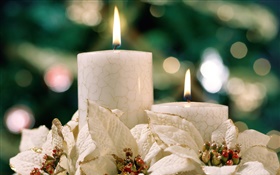 聖誕主題，白色的蠟燭 高清桌布
