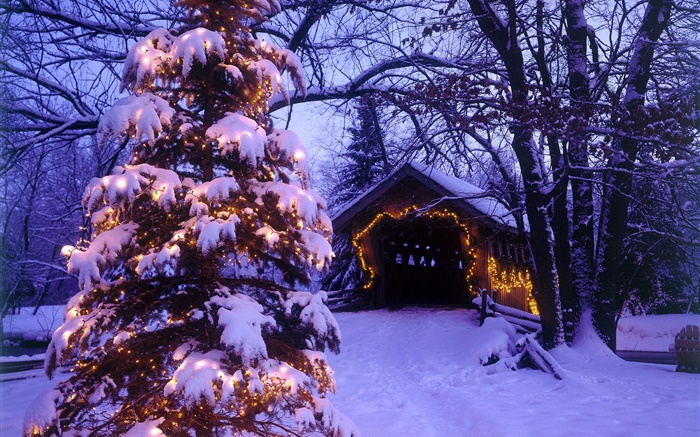 聖誕樹，雪，房屋，樹木 桌布 圖片